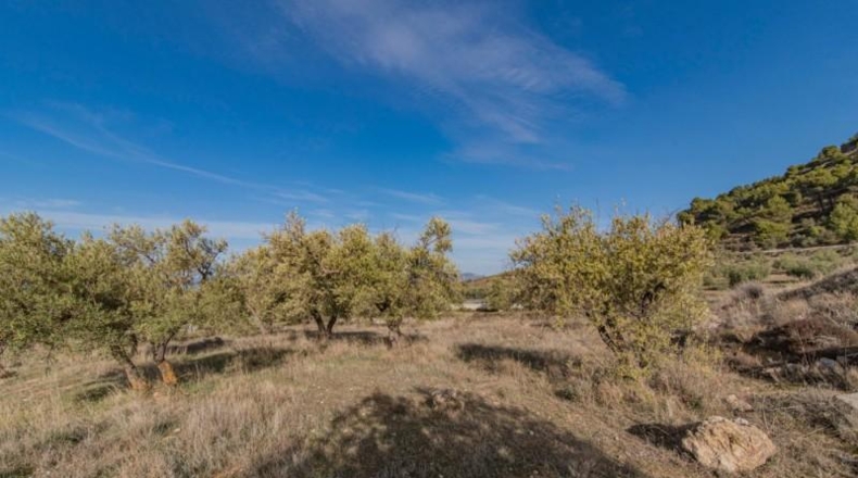 Granada - Nívar - 550m2
