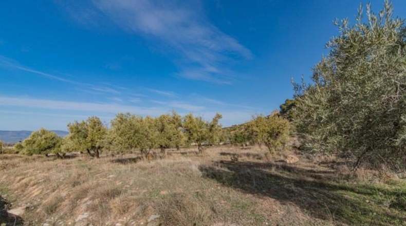 Granada - Nívar - 550m2