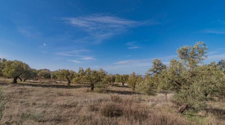 Granada - Nívar - 550m2