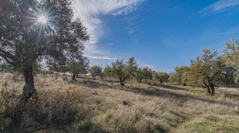 Granada - Nívar - 550m2