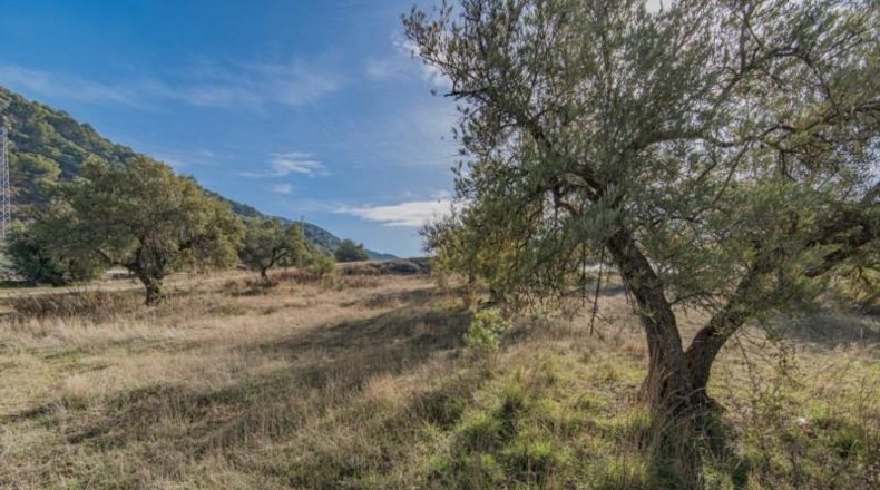 Granada - Nívar - 550m2