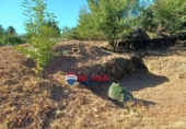 Land suitable for development for sale on España, Cardiña, ref: TR220800 photo