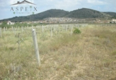 Finca rústica en venda a la España, el Fondó de les Neus, ref.: TR297276 foto