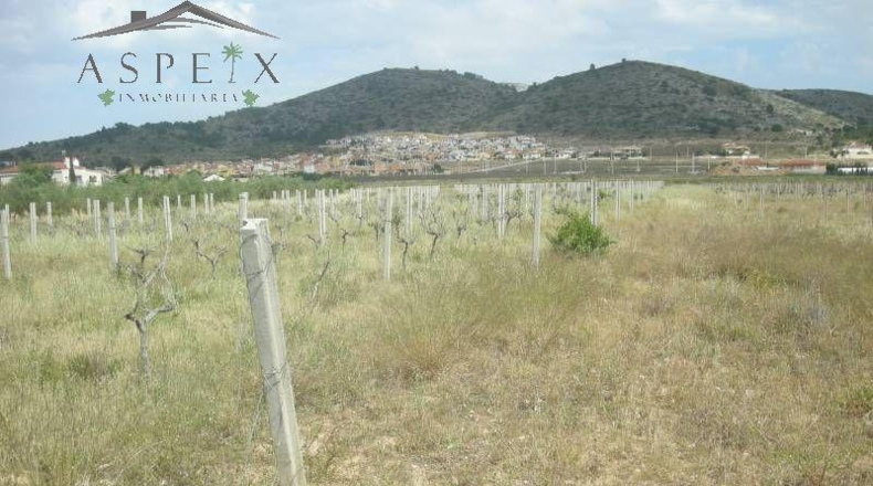 Alicante - Ондон де лас Ньевес - 7500m2