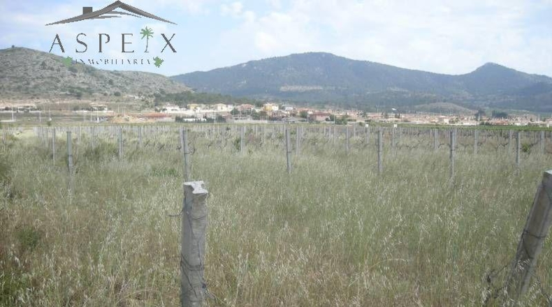 Alicante - Ондон де лас Ньевес - 7500m2