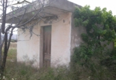 Finca rústica en venda a la España, el Fondó de les Neus, ref.: TR297276 foto