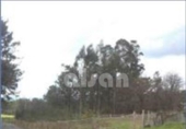 Non-developable land for sale on España, Tomiño, ref: TR125487 photo