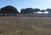 Land suitable for development for sale on España, Aldeamayor de San Martín, ref: TR117130 photo