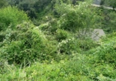 Sòl urbà en venda a la España, Corbera de Llobregat, ref.: TR114034 foto
