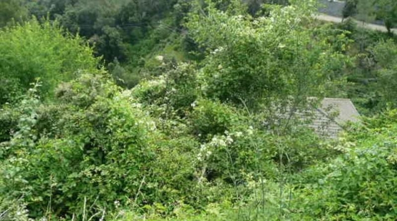 Barcelona - Corbera de Llobregat - 511m2