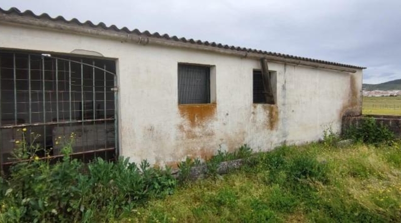 Cáceres - Sierra de Fuentes - 25000m2