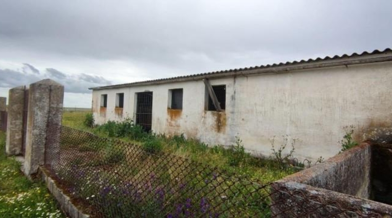 Cáceres - Sierra de Fuentes - 25000m2