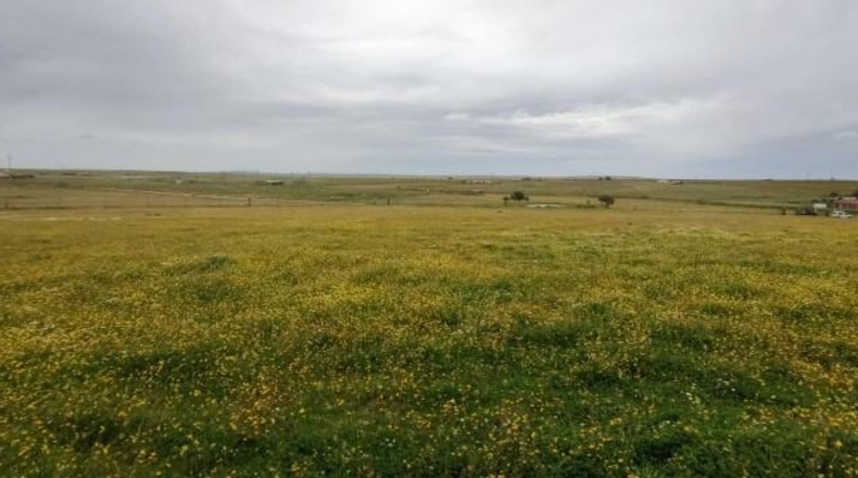 Cáceres - Sierra de Fuentes - 25000m2