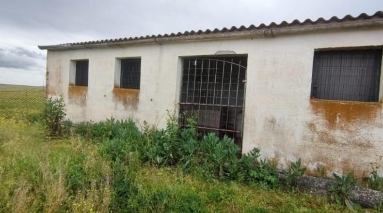 Cáceres - Sierra de Fuentes - 25000m2