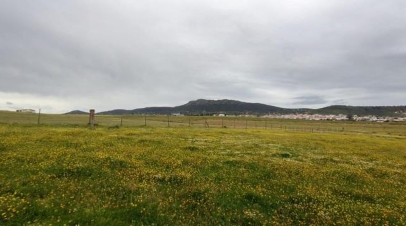 Cáceres - Sierra de Fuentes - 25000m2