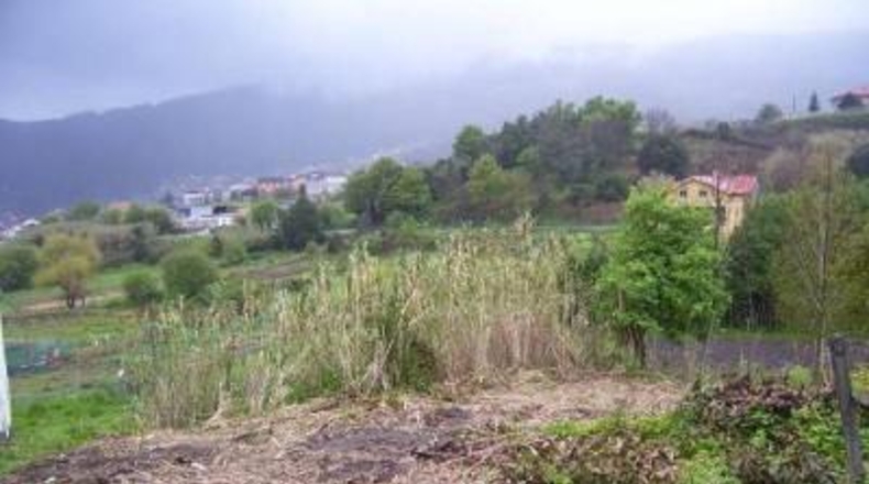 Pontevedra - O Costal - 318m2