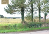 Land suitable for development for sale on España, Carballo, ref: TR113986 photo