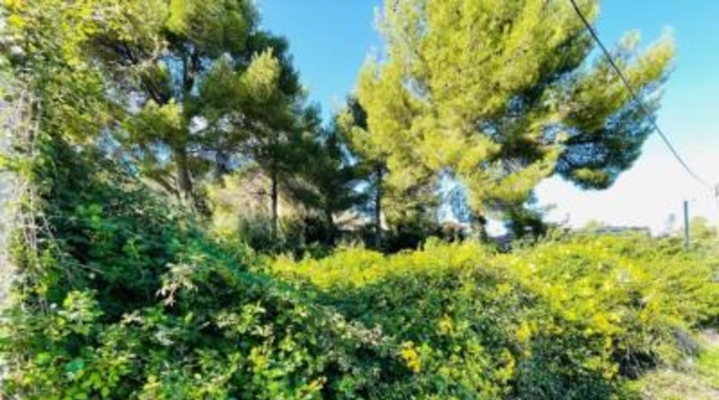 Tarragona - el Vendrell - 630m2
