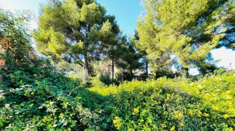 Tarragona - el Vendrell - 630m2