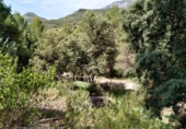 Parcel·la urbanitzable en venda a la España, Vacarisses, ref.: TR120757 foto