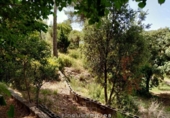 Parcel·la urbanitzable en venda a la España, Vacarisses, ref.: TR120757 foto