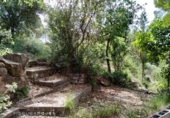 Parcel·la urbanitzable en venda a la España, Vacarisses, ref.: TR120757 foto