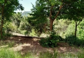 Parcel·la urbanitzable en venda a la España, Vacarisses, ref.: TR120757 foto