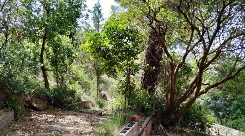 Barcelona - Vacarisses - 1250m2