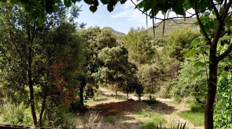 Barcelona - Vacarisses - 1250m2