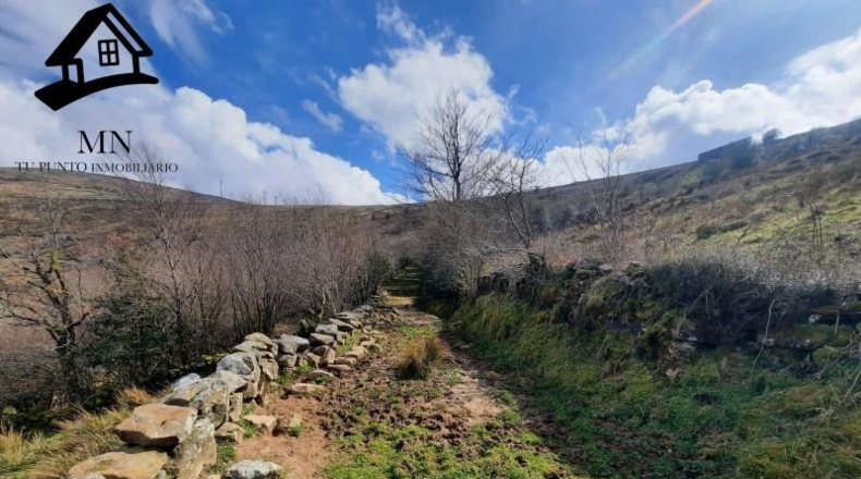 Cantabria - Сан-Педро-дель-Ромераль - 28508m2