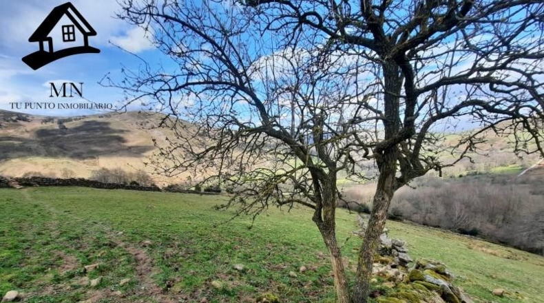 Cantabria - Сан-Педро-дель-Ромераль - 28508m2