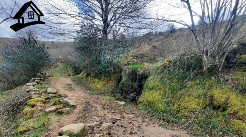 Cantabria - Сан-Педро-дель-Ромераль - 28508m2