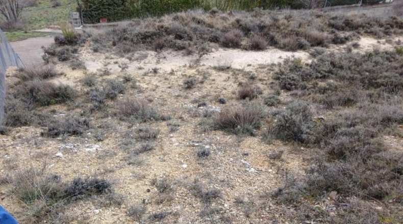 Guadalajara - Trijueque - 955m2