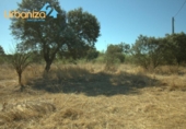 Terreno no urbanizable en venta en la España, Alburquerque, ref: TR171789 foto