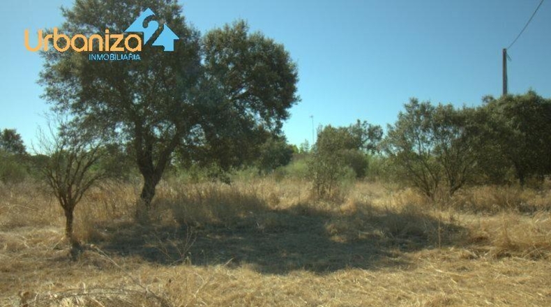 Badajoz - Alburquerque - 22338m2