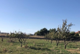 Morales del Vino 8600&nbsp;m² 