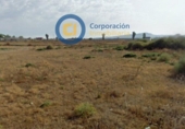 Non-developable land for sale on España, Lorca, ref: TR125353 photo
