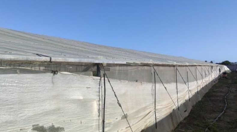 Cadiz - Chipiona - 2770m2