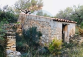Casa de camp amb terreny en venda a la España, Tortosa, ref.: TR176308 foto