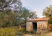 Casa de camp amb terreny en venda a la España, Tortosa, ref.: TR176308 foto