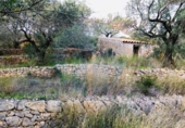 Casa de camp amb terreny en venda a la España, Tortosa, ref.: TR176308 foto