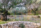 Casa de camp amb terreny en venda a la España, Tortosa, ref.: TR176308 foto