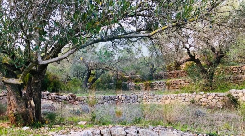 Tarragona - Tortosa - 167830m2