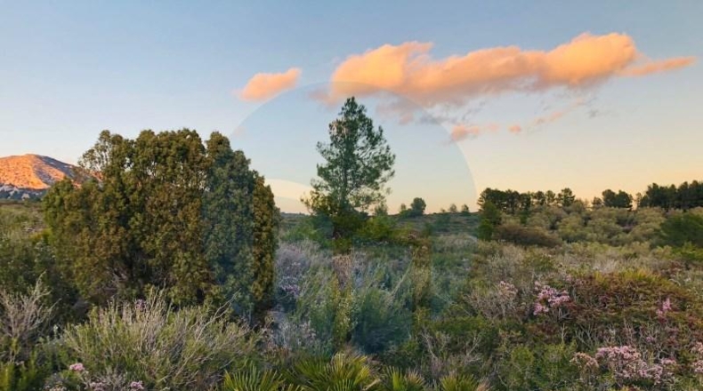 Tarragona - Tortosa - 167830m2