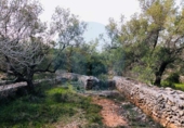 Casa de camp amb terreny en venda a la España, Tortosa, ref.: TR176308 foto