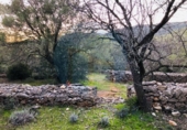 Casa de camp amb terreny en venda a la España, Tortosa, ref.: TR176308 foto