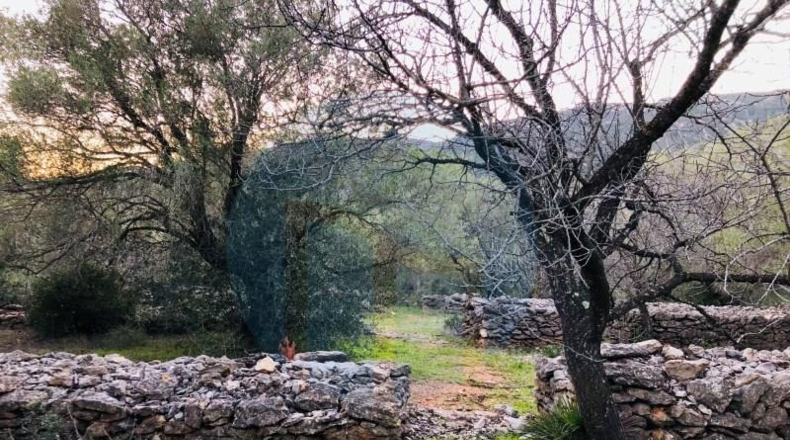 Tarragona - Tortosa - 167830m2