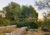 Casa de camp amb terreny en venda a la España, Tortosa, ref.: TR176308 foto