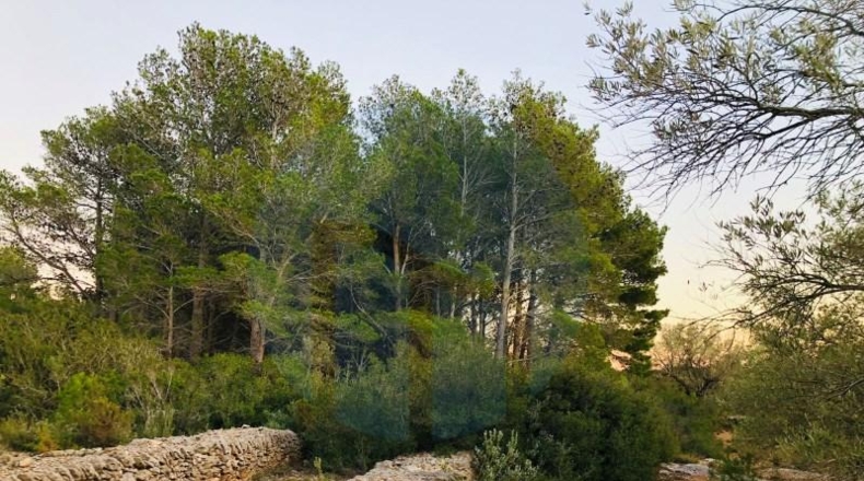 Tarragona - Tortosa - 167830m2