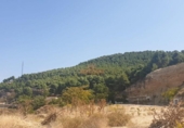 Land suitable for development for sale on España, Chinchilla de Montearagón, ref: TR126214 photo